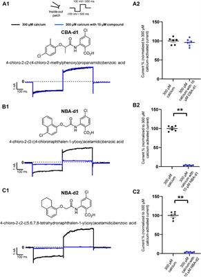 Species-Specific Effects of Cation Channel TRPM4 Small-Molecule Inhibitors